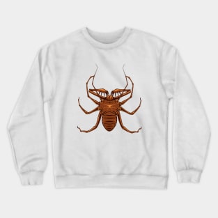 Drawing of a whip spider Crewneck Sweatshirt